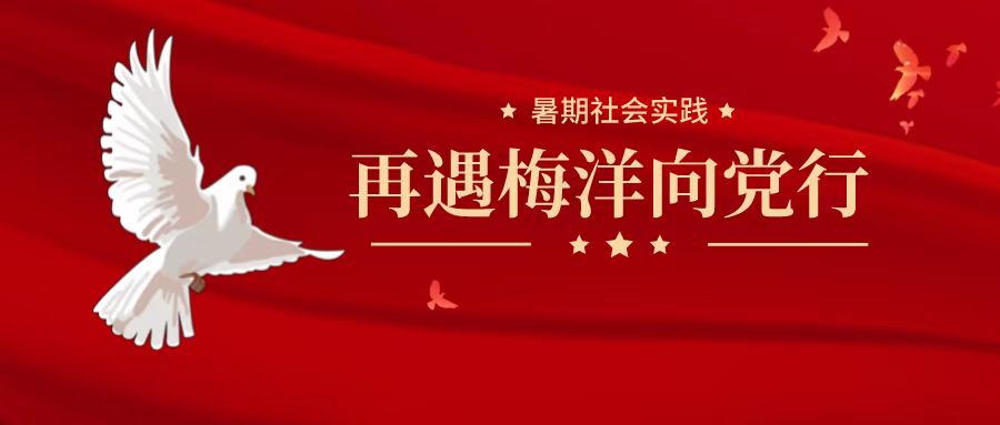 暑期社会实践|激扬青春当蓄力 再遇梅洋向党行