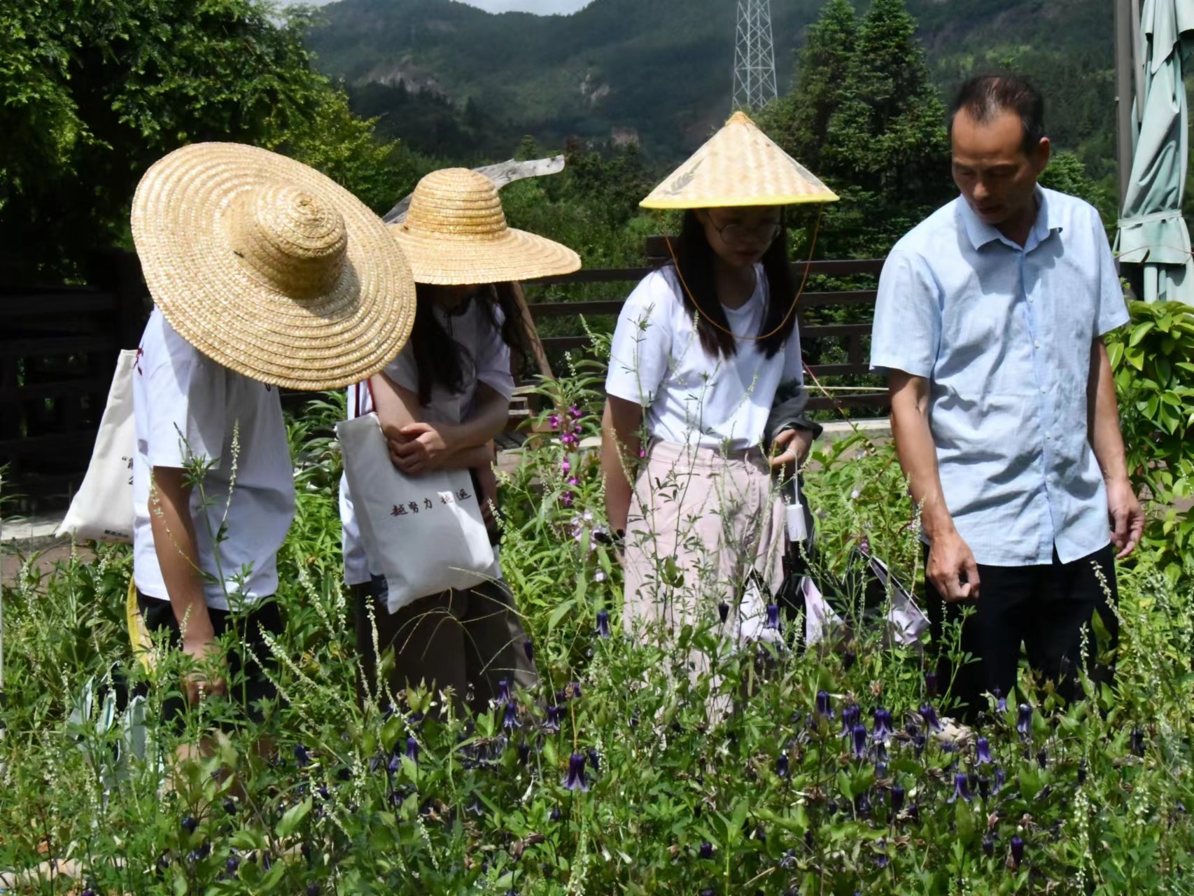 福理工学子走进永泰百草园，探寻中医药文化