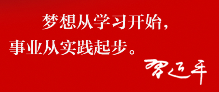 《人民之心｜从实际出发、按规律办事》）